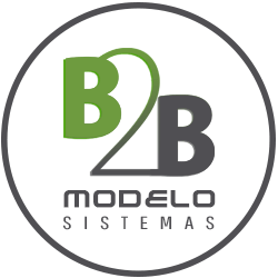 11-B2B modelo sistemas